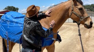 LA artist redwings fundraiser