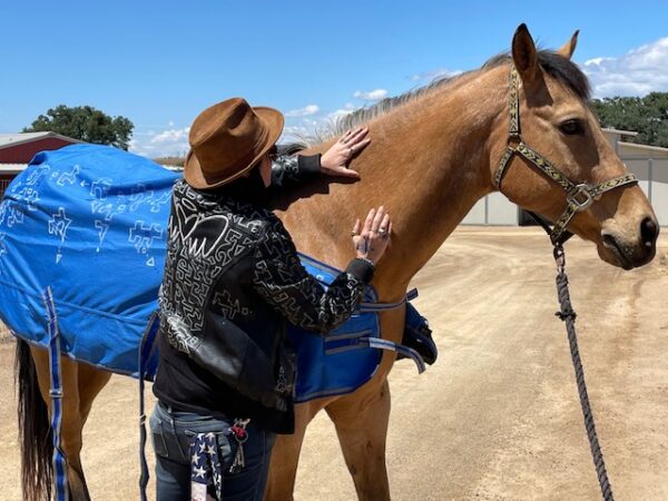 LA artist redwings fundraiser