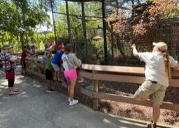vulture awareness day