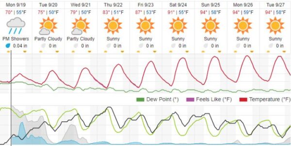 weather forecast