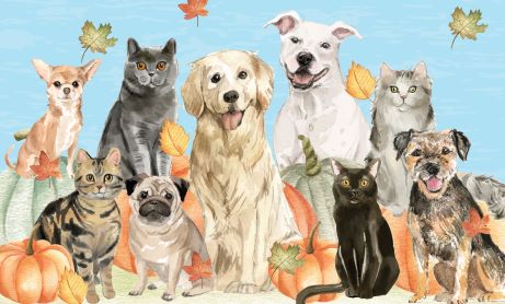 wiggle waggle fall festival