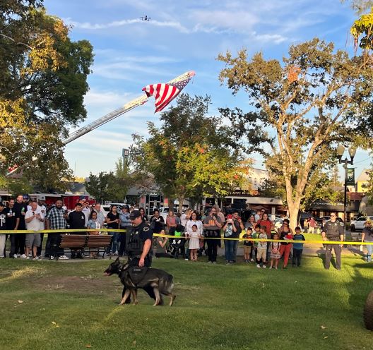 Canine demo walking dog