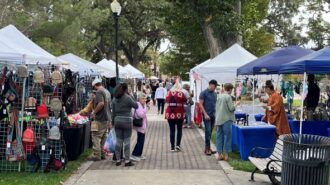 Vendors at Festival