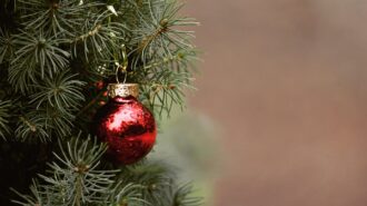 christmas tree stock img