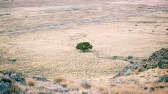 drought stock img