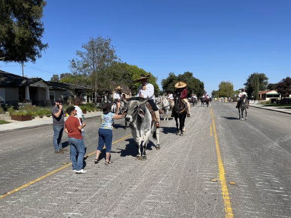 parade 1