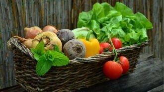 produce stock pic
