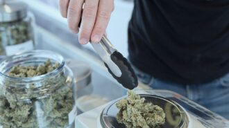 cannabis retail image by Upsplash
