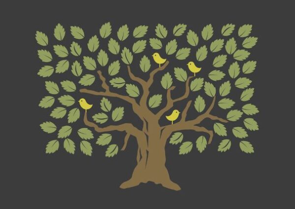 tree stock img