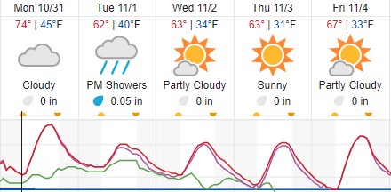 weather forecast