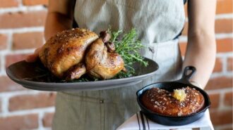 The hatch chicken