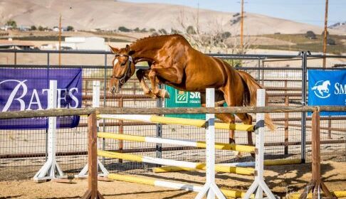 horse show twin rivers