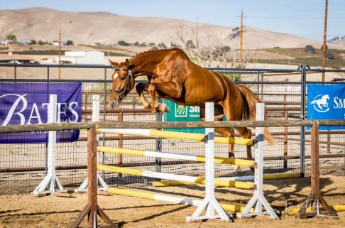 horse show twin rivers