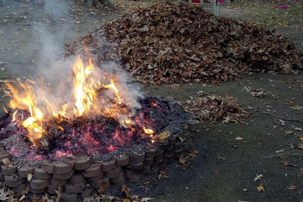 backyard burning