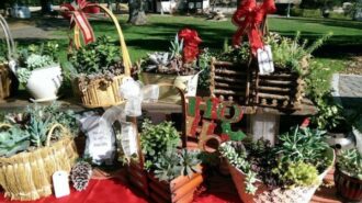holiday boutique