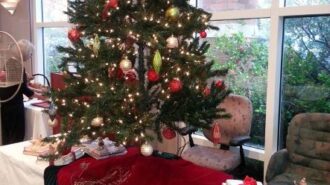 library holiday books