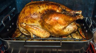 thanksgiving turkey