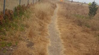Dirt trail