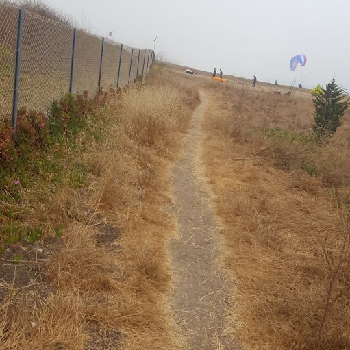 Dirt trail