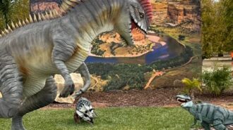 dino park lost hills