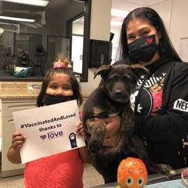 Petco Love and Woods