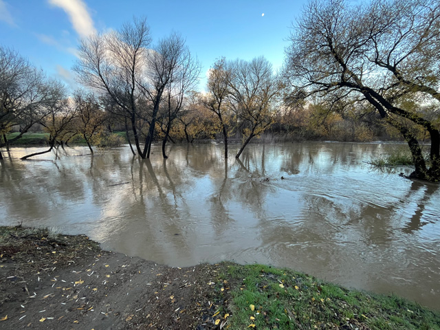 Salinas River on Sunday morning.