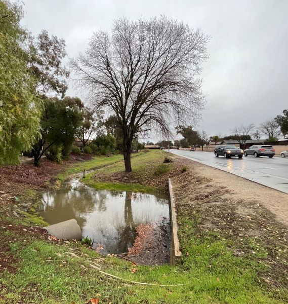 Turtle Creek next to Scott Street in PR