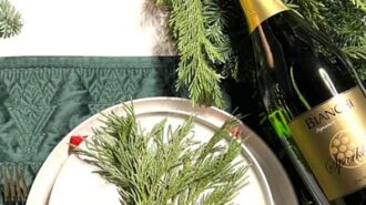 bianchi holidays