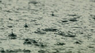 rain drops