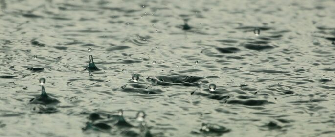 rain drops