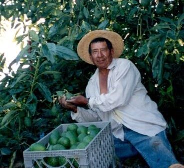Obituary of Rodolfo Torres Marino, 81