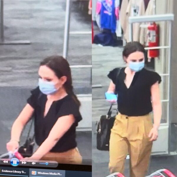 theft suspect