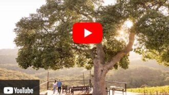 video img