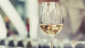 best white wines in paso robles, ca