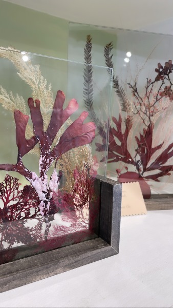 Artwork by Central Seaweed Pressing