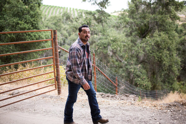 Edgar Torres
