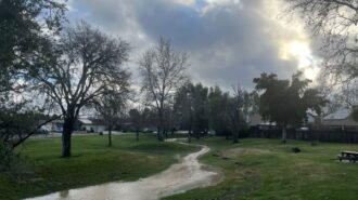 Sierra Bonita rain