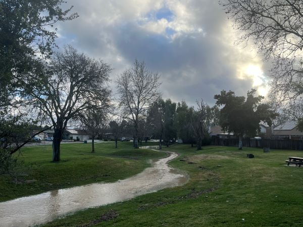 Sierra Bonita rain