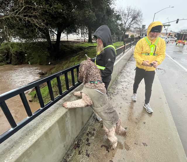 Silva-family-on-bridge