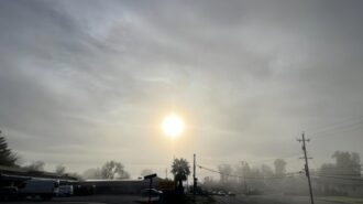 fog in paso