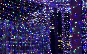 SLO Botanical Garden extends immersive light exhibit