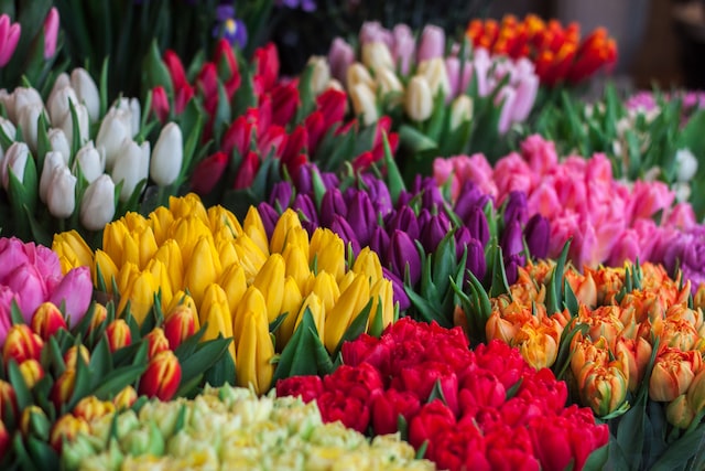 World Floral Expo 2023