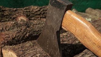lumberjack ax stock img