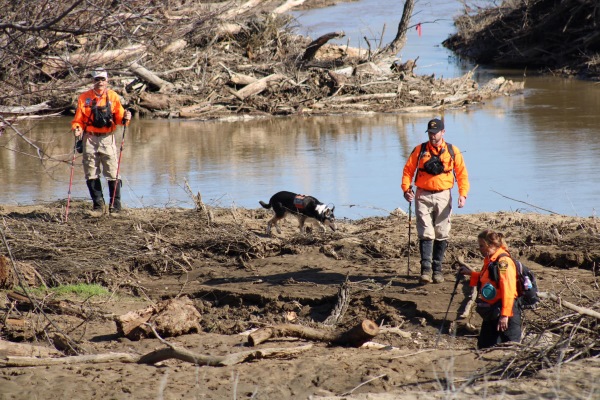 photo of search