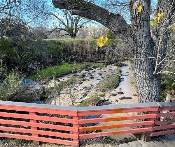 rainfall paso robles