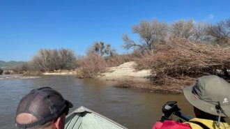 river search