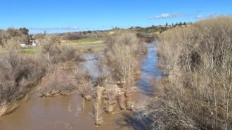 salinas river flowing