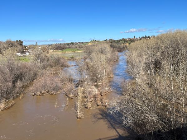 salinas river flowing