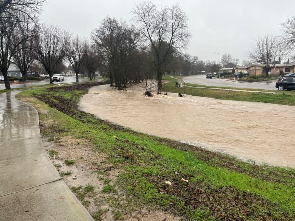 turtle creek dick mason