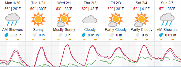 weather forecast